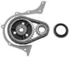 VEMA 12302 Timing Chain Kit